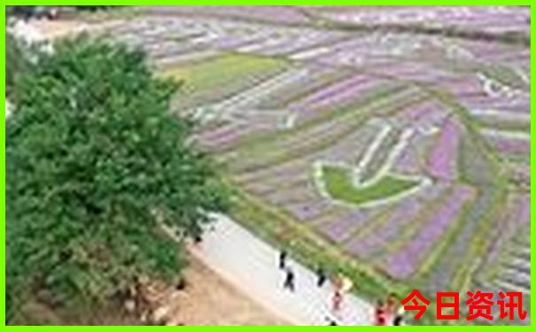 暑假能去哪里旅游